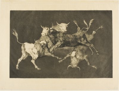 Fool’s Folly, Disparatesista tekijältä Francisco Jose de Goya y Lucientes