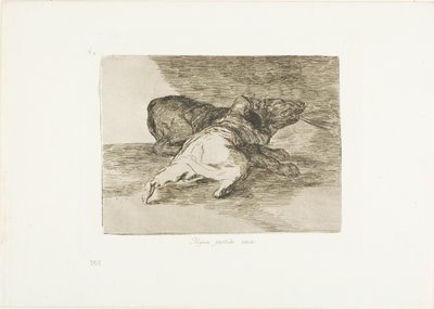Hän saa siitä jotain irti, levyn 40 The Disasters of Warista tekijältä Francisco Jose de Goya y Lucientes