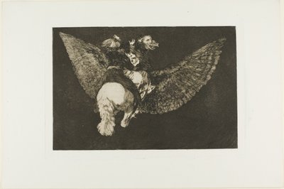 Luovu ystävästä, joka peittää sinut siivillään ja puree sinua nokallaan, levy viisi Los Proverbiosista tekijältä Francisco Jose de Goya y Lucientes