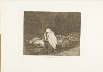 The Beds of Death, levy 62 julkaisusta The Disasters of War tekijältä Francisco Jose de Goya y Lucientes