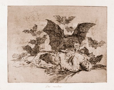 The Disasters of War: Tulokset (etsaus alustavasta piirroksesta tekijältä Francisco de Goya