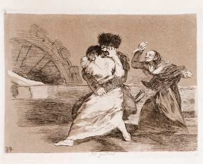 The Disasters of War: He eivät halua (etsaus valmistelevasta piirustuksesta tekijältä Francisco de Goya