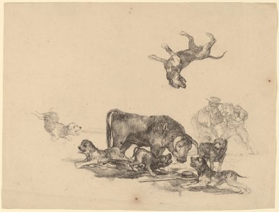 Koirien hyökkäämä härkä tekijältä Francisco de Goya