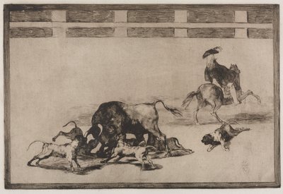Härkätaistelut: He löysivät koiria härässä tekijältä Francisco de Goya