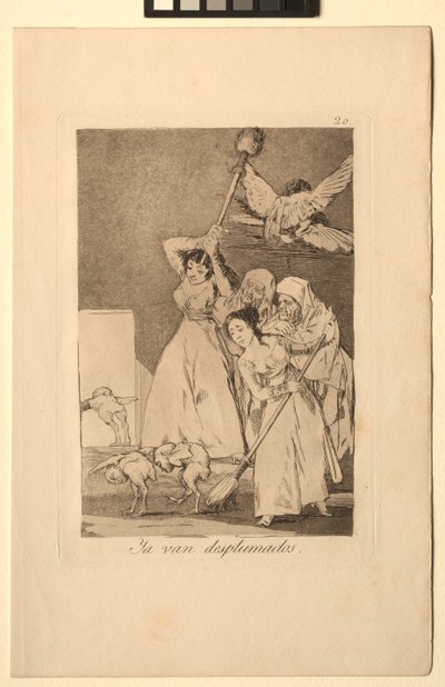 Caprichos: There They Go Plucked eli fleeced. tekijältä Francisco de Goya