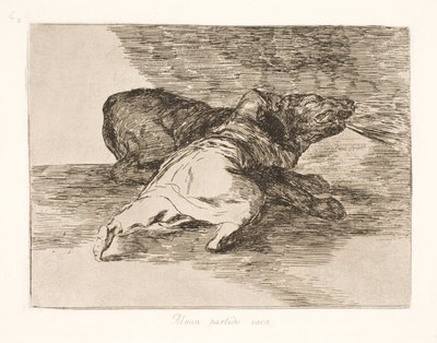 Siitä saa jotain irti! (40) tekijältä Francisco de Goya