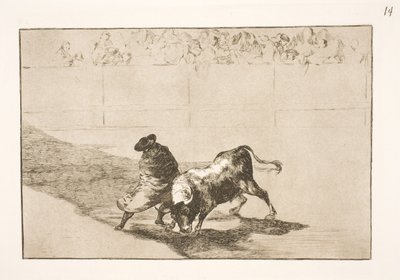 Falcesin erittäin lahjakas oppilas viittaansa puettuna huijaa härkää kehonsa liikkeillä tekijältä Francisco de Goya