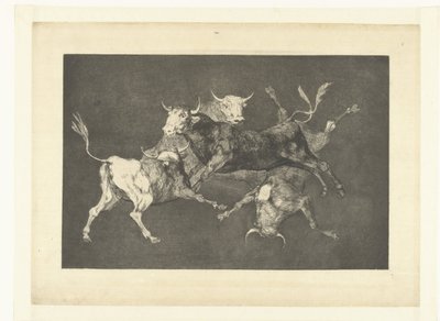 Dwaasheid van de kleine stieren Disparate de tontos Los Disparates (De dwaasheden) (series title) Los Proverbios (De spreekwoorden) (series title) tekijältä Francisco de Goya