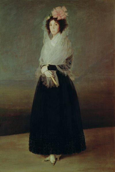 Muotokuva Carpion kreivittärestä (1757-95) Marquesa de la Solana, noin 1793. tekijältä Francisco de Goya
