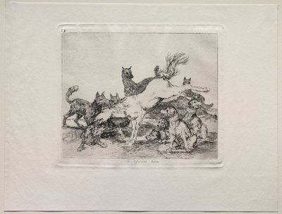 The Horrors of War:  He Defends Himself Well tekijältä Francisco de Goya