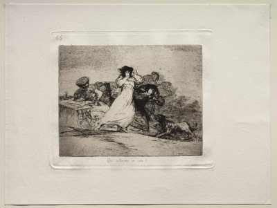 The Horrors of War: Mikä tämä Hubbub on? tekijältä Francisco de Goya