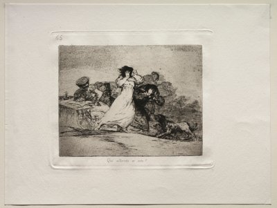 The Horrors of War: Mikä tämä Hubbub on. tekijältä Francisco de Goya