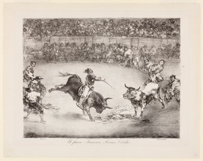  tekijältä Francisco de Goya