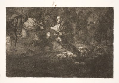 Nostre Senyor els crea i acaben en bella unió / Els ocells de la mateixa ploma volen en ramat finlandès tekijältä Francisco de Goya