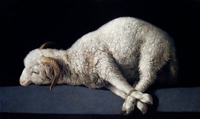 Agnus Dei tekijältä Francisco de Zurbaran