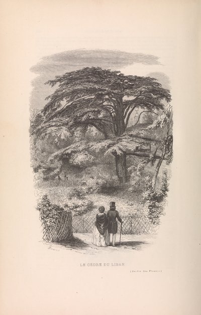 Kasvitieteellinen puutarha, Nisäkkäiden kuvaukset ja tavat, 1842. tekijältä Francois Boitard