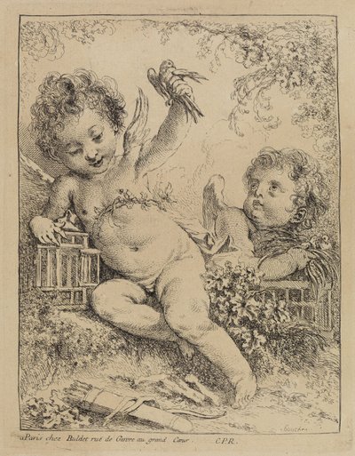 Häkkiin suljettu kyyhkynen tekijältä François Boucher