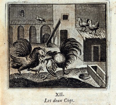 Molemmat Kukot. Jean de La Fontainen (1621-95) sadut. Kuvitus: François Chauveau (1613-1676). Painos vuodelta 1728. tekijältä Francois Chauveau