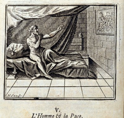 Mies ja kirppu. Jean de La Fontainen (1621-95) tarinoita. Kuvitus: Francois Chauveau (1613-1676). Painos vuodelta 1728. tekijältä Francois Chauveau
