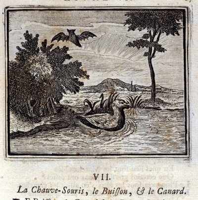Lepakko, pensas ja ankka. Jean de La Fontainen (1621-95) sadut. Kuvitus: François Chauveau (1613-1676). Painos vuodelta 1728. tekijältä Francois Chauveau