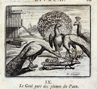Jay koristaa riikinkukon höyheniä. Jean de La Fontainen (1621-95) sadut. Kuvitus: François Chauveau (1613-1676). Painos vuodelta 1728. tekijältä Francois Chauveau