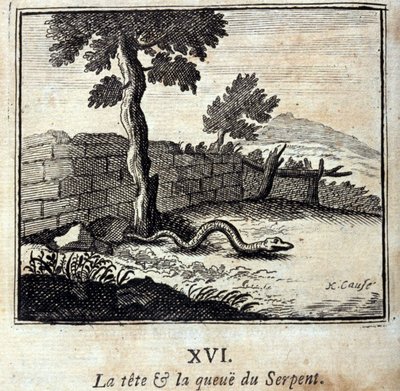 Käärmeen pää ja häntä. Jean de La Fontainen (1621-95) sadut. Kuvitus: François Chauveau (1613-1676). Painos vuodelta 1728. tekijältä Francois Chauveau