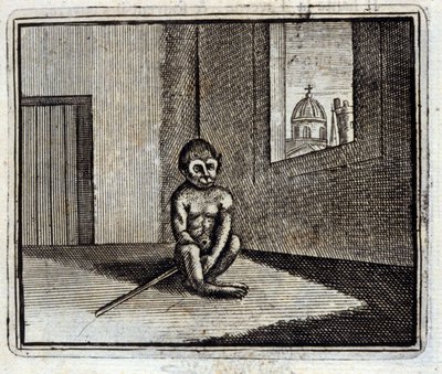 Apina. Jean de La Fontainen (1621-95) sadut. Kuvitus: François Chauveau (1613-1676). Painos vuodelta 1728. tekijältä Francois Chauveau
