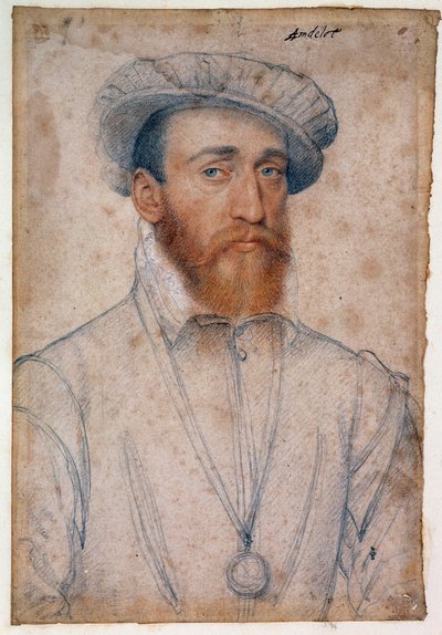 Muotokuva Francois de Colignysta, Andelotin herrasta (1521 - 1569). Clouet Francois