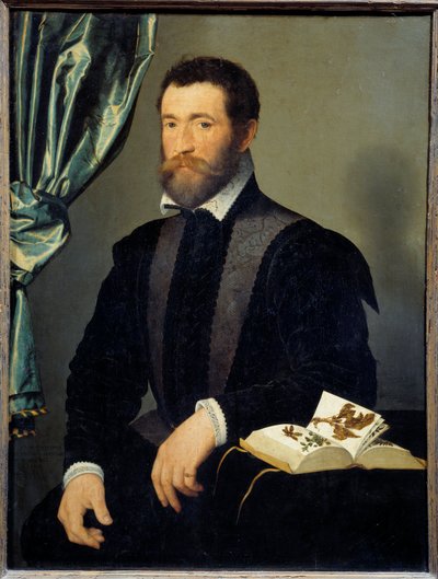 Muotokuva apteekki Pierre Quthesta (1519-apres 1588) François Clouet