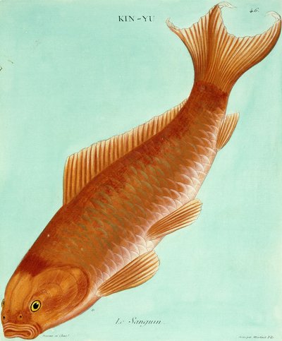 Sanguine tekijältä Francois Nicolas Martinet
