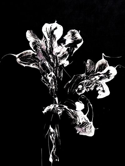 Fluid Dark Blooms tekijältä Françoise Wattré