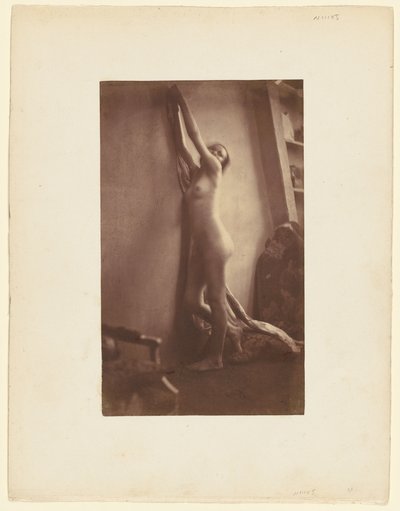 Alaston, noin 1856 (kuva) tekijältä Frank Chauvassaigne