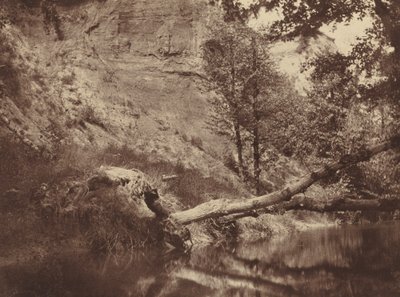 Joenranta, c. 1855. tekijältä Frank Chauvassaigne