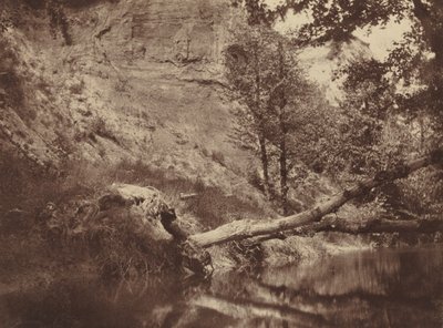 Riverbank,c. 1855 (kuva) tekijältä Frank Chauvassaigne