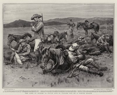 The Care of Horses Etelä-Afrikassa, sekaisin pakotetussa marssissa tekijältä Frank Dadd