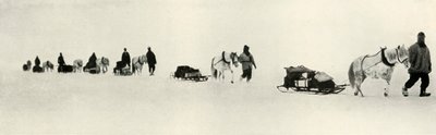 Ponit maaliskuussa 1911, 1913 tekijältä Frank Debenham