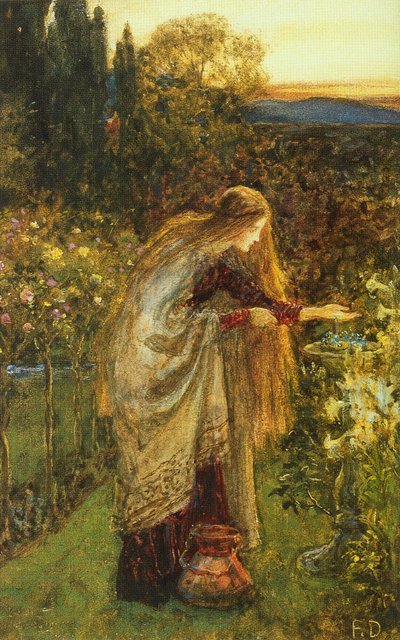 Herkkä kasvi (vesiväri, lyijykynä ja bodycolour paperille) tekijältä Frank Dicksee