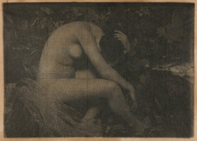 Cicada tekijältä Frank Eugene