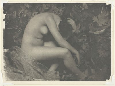 Cicada, 1898. tekijältä Frank Eugene