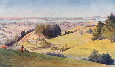 Uusi-Seelanti: Auckland (värillinen litografia) tekijältä Frank H Wright