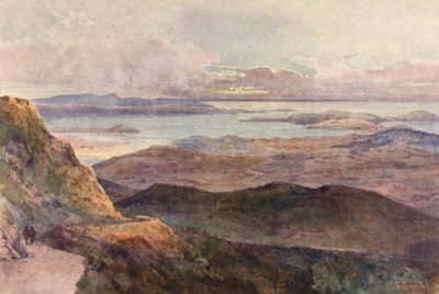 Uusi-Seelanti: Coromandel (värilitra) tekijältä Frank H Wright