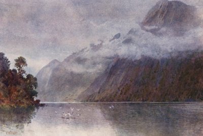 Uusi-Seelanti: Milford Soundissa (värilitro). tekijältä Frank H Wright