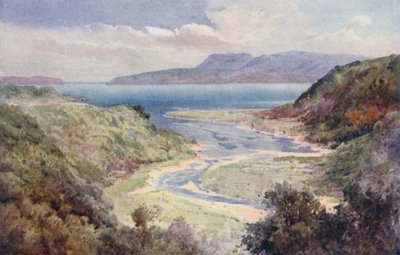 Uusi-Seelanti: Lake ja Mount Tarawera (värilitro): Lake ja Mount Tarawera (värilitro). tekijältä Frank H Wright