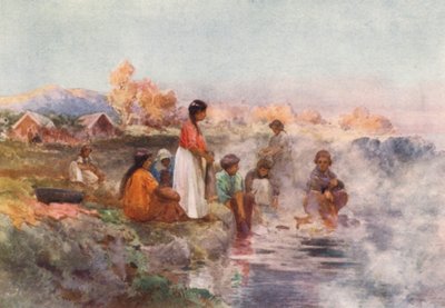 Uusi-Seelanti: Ohinemutu (värilitografia). tekijältä Frank H Wright