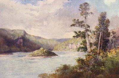 Uusi-Seelanti: White Cliffs, Buller River (värilitografia). tekijältä Frank H Wright