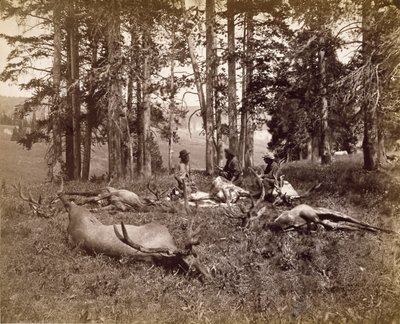 Elk Hunters, Yellowstone, n. 1880 (albumin hopeaprintti) tekijältä Frank Jay Haynes