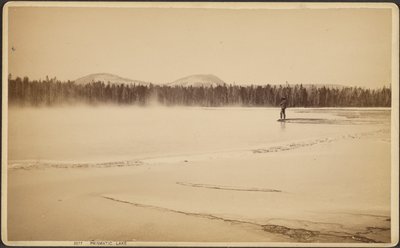 Prismaattinen järvi tekijältä Frank Jay Haynes