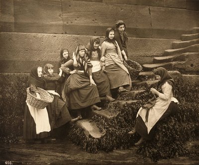 Naiset odottavat päivää, Whitby Harbour, North Yorkshire, n. 1899 tekijältä Frank Meadow Sutcliffe