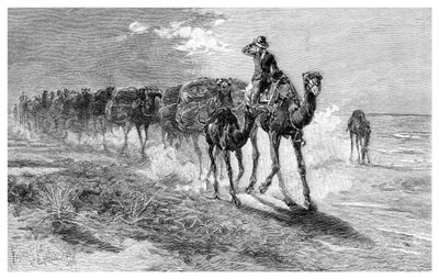 Kamelit kantavat villaa, 1886. tekijältä Frank P. Mahony