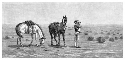 Ei mitään näköpiirissä, 1886. tekijältä Frank P. Mahony